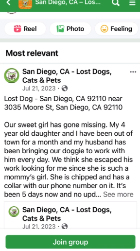 lost animal post