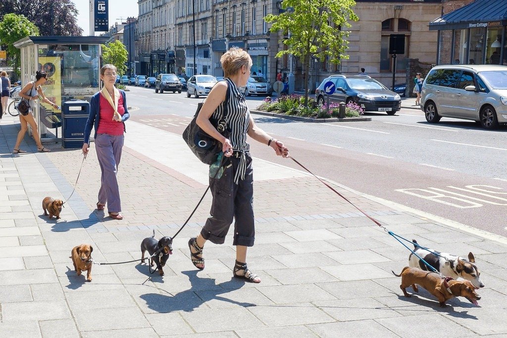 Dachshunds badger hunters