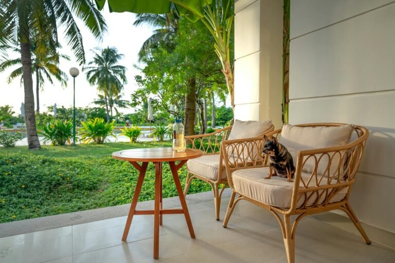 A Dog Sitting on the Wooden Sofa